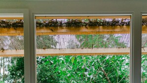 スタジオ | デスク、ノートパソコン用作業スペース、WiFi (無料)、客室ごとに異なる装飾