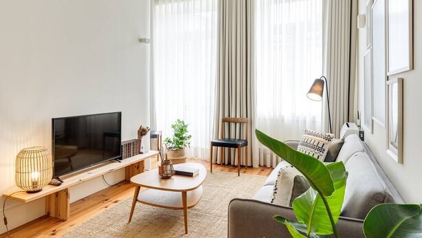 Ein modernes Wohnzimmer mit Flachbildfernseher, Couchtisch, Sofa und einer großen Pflanze.