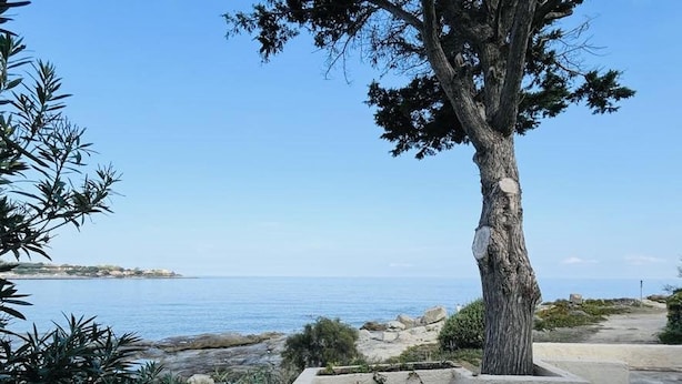A terrace with a view of the sea, a tree, and two blue lounge chairs. - 3-Room Apartment for 6, Steps from Beach, Terrace, Parking Included (Lumio)