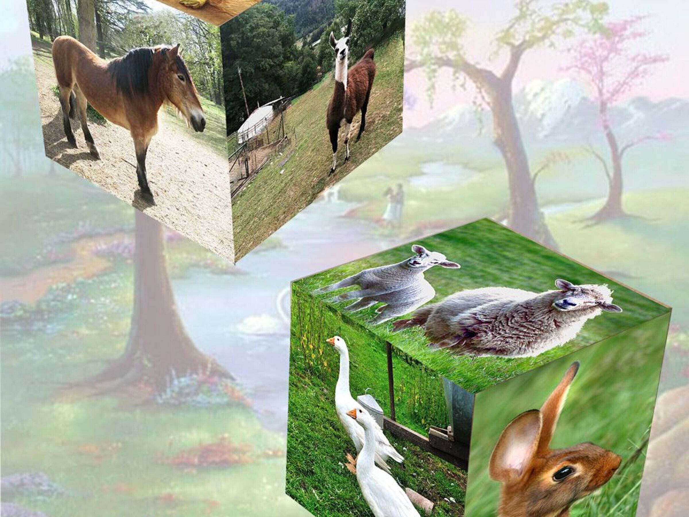Een collage van verschillende dieren, waaronder een paard, een lama, een schaap, eenden en een eekhoorn.