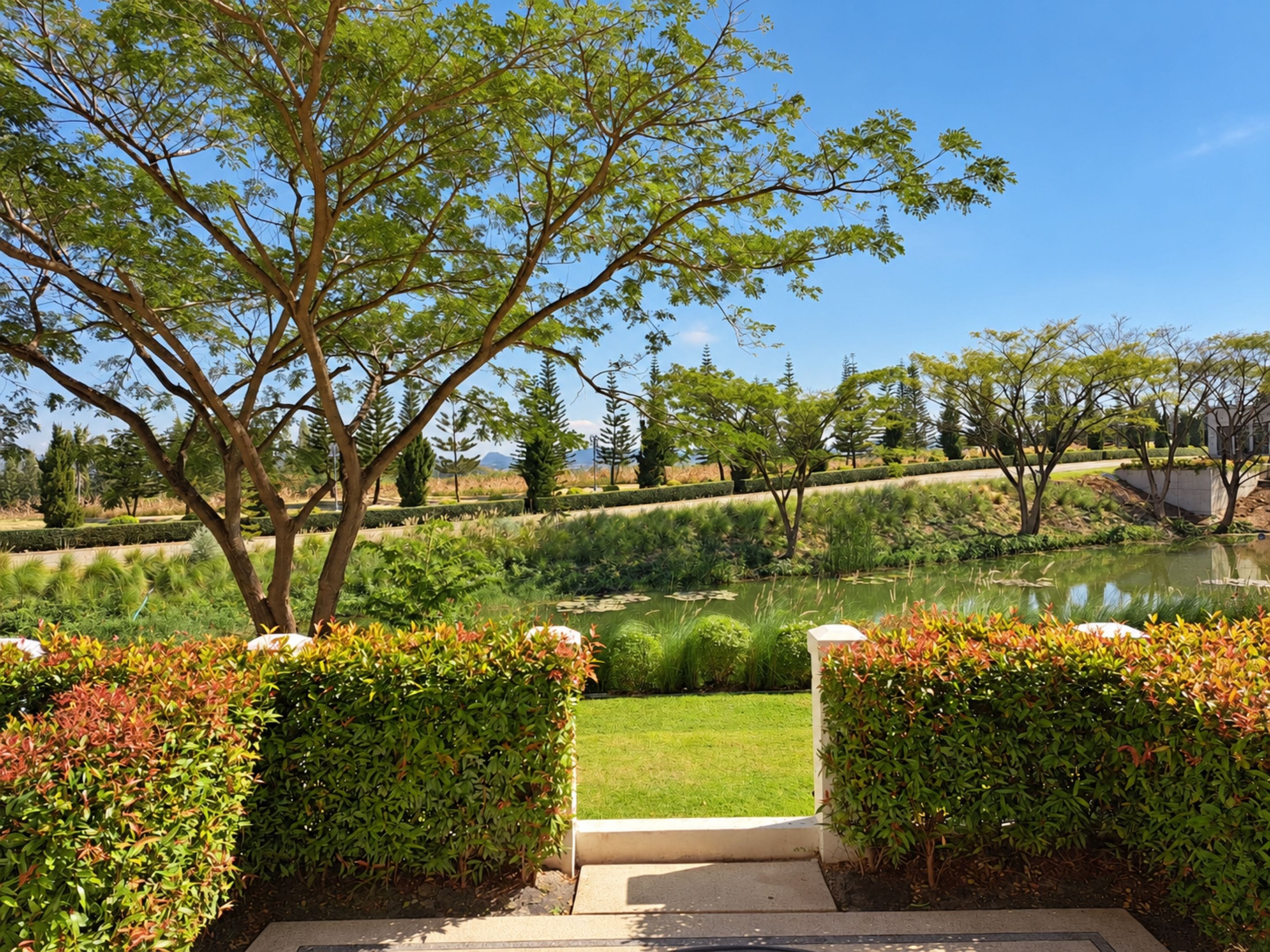 Garden view