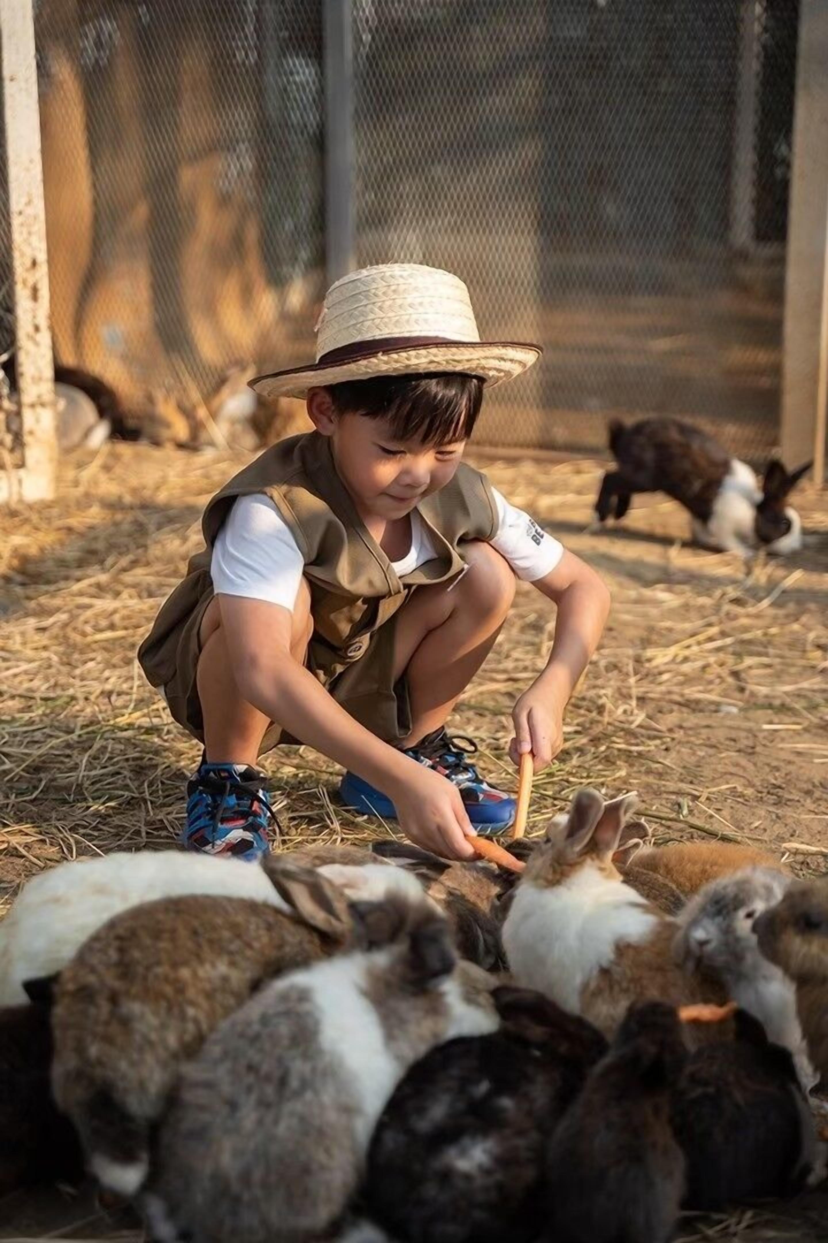 Un enfant accroupi, donnant à manger à des lapins dans un enclos.