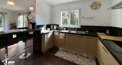 Spacious house in St Jean de Monts, pets allowed, parking