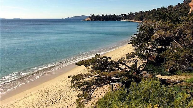 A beach with clear blue water, sandy shore, and dense greenery.