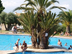 Une piscine entourée de palmiers, où des gens se détendent et profitent de l’eau.