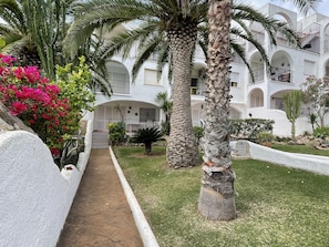 A pathway leading to a white building with balconies, surrounded by palm trees and bougainvillea flowers.