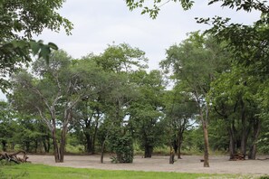 1 bedroom - Mankwe Camping (Maun)