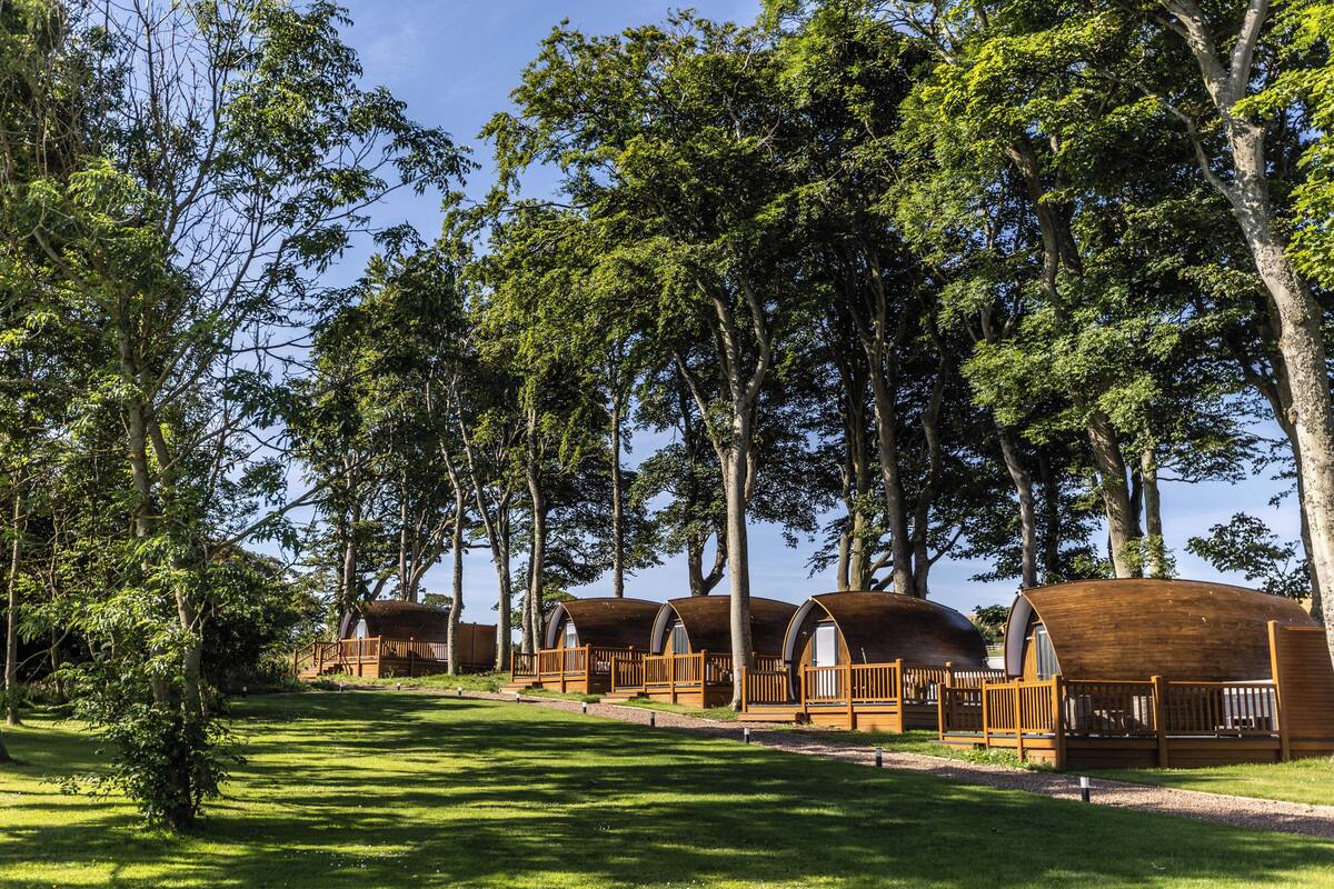 A row of wooden cabins with curved roofs, surrounded by lush green trees and a clear sky.