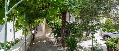 A pathway lined with potted plants and a car parked on the side.