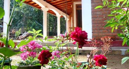 Near the Sigiriya Rock.10 min for the Sigiriya Rock.