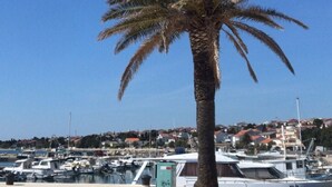 Een jachthaven met aangemeerde boten, een palmboom en een stad op de achtergrond.