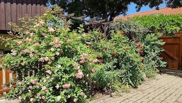 Àrea exterior de l'allotjament