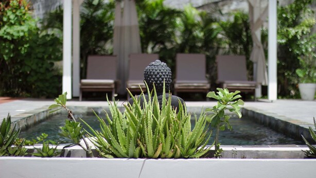 Zona de piscina con una fuente central, rodeada de plantas verdes y un área de descanso cubierta con sillones reclinables.