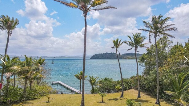 Vista de una playa tropical con palmeras, un muelle y cielo despejado.