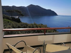 Suite – executive | Terrasse/patio