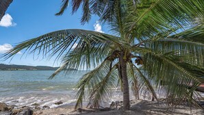 Una playa con una palmera y vistas al agua.