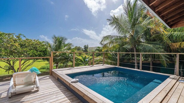Une terrasse en bois avec un jacuzzi et une piscine, entourée de palmiers et sous un ciel dégagé.
