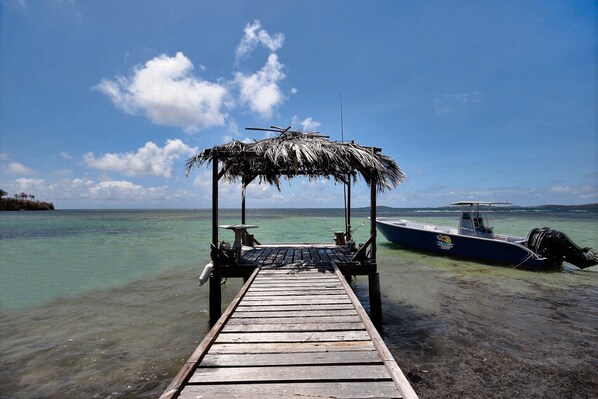 A wooden pier leading to a boat with a thatched roof structure at the end.