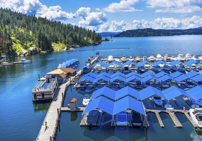 Walk to Downtown CDA - Peaceful Neighborhood with Large Backyard!