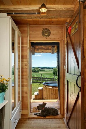 House | Living area | 43-inch TV with digital channels - Tiny house AMBAR (Kapela)