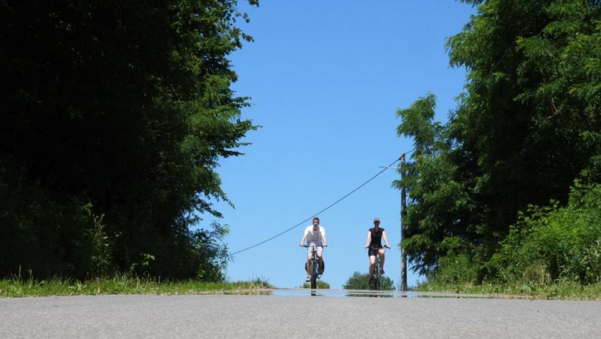 Two cyclists on a paved road with trees on both sides.