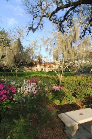 Property grounds - Sleeps 15 • Historic Mansion w/ Pool Near UF (Gainesville)