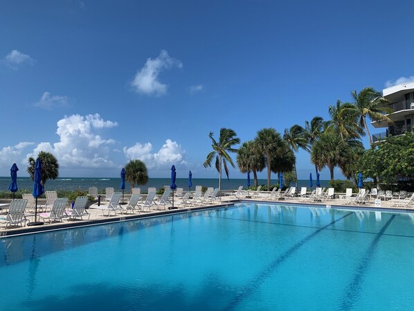 Relax by the ocean-view pool, surrounded by lounge chairs and umbrellas.