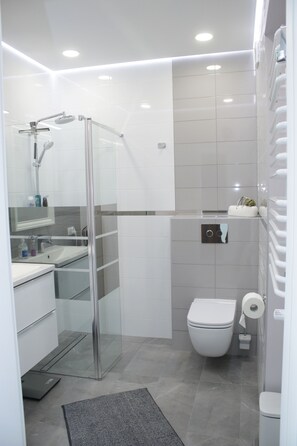 Secador de pelo, toallas, jabón, shampoo