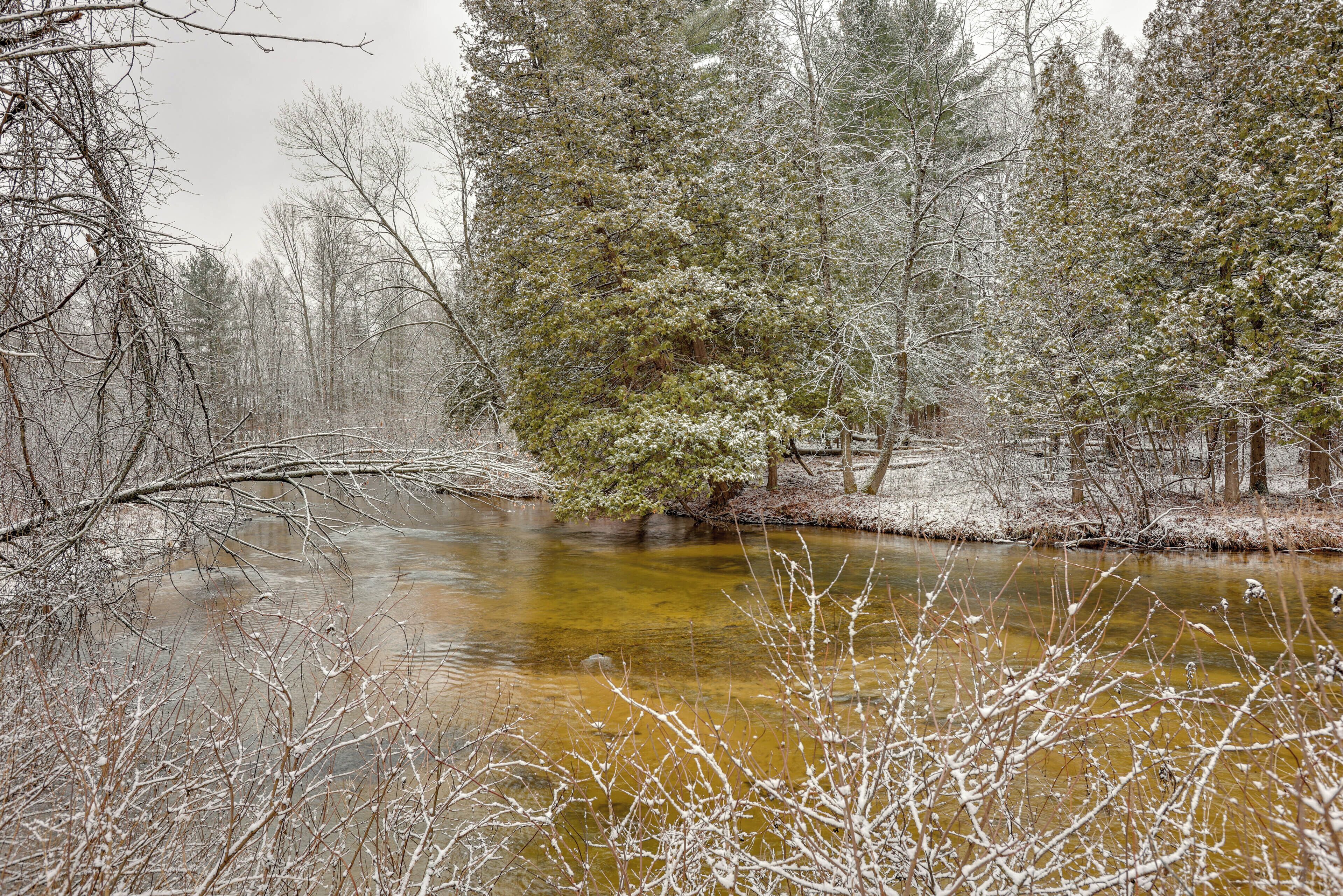 A river surrounded by snow-covered trees and branches.