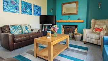 Smart TV, fireplace, books