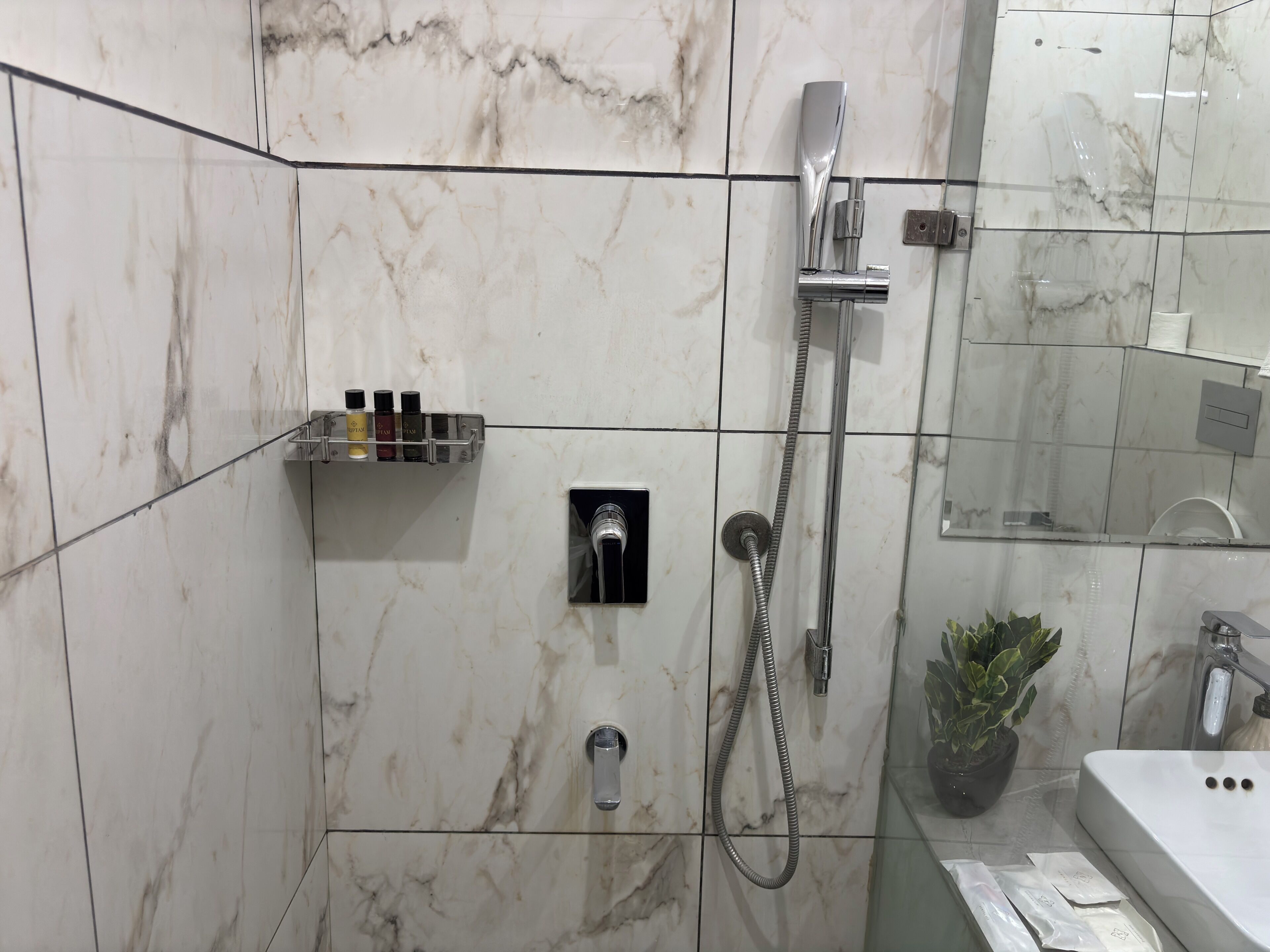 A bathroom with a shower, a glass shelf with toiletries, a potted plant, and a sink.