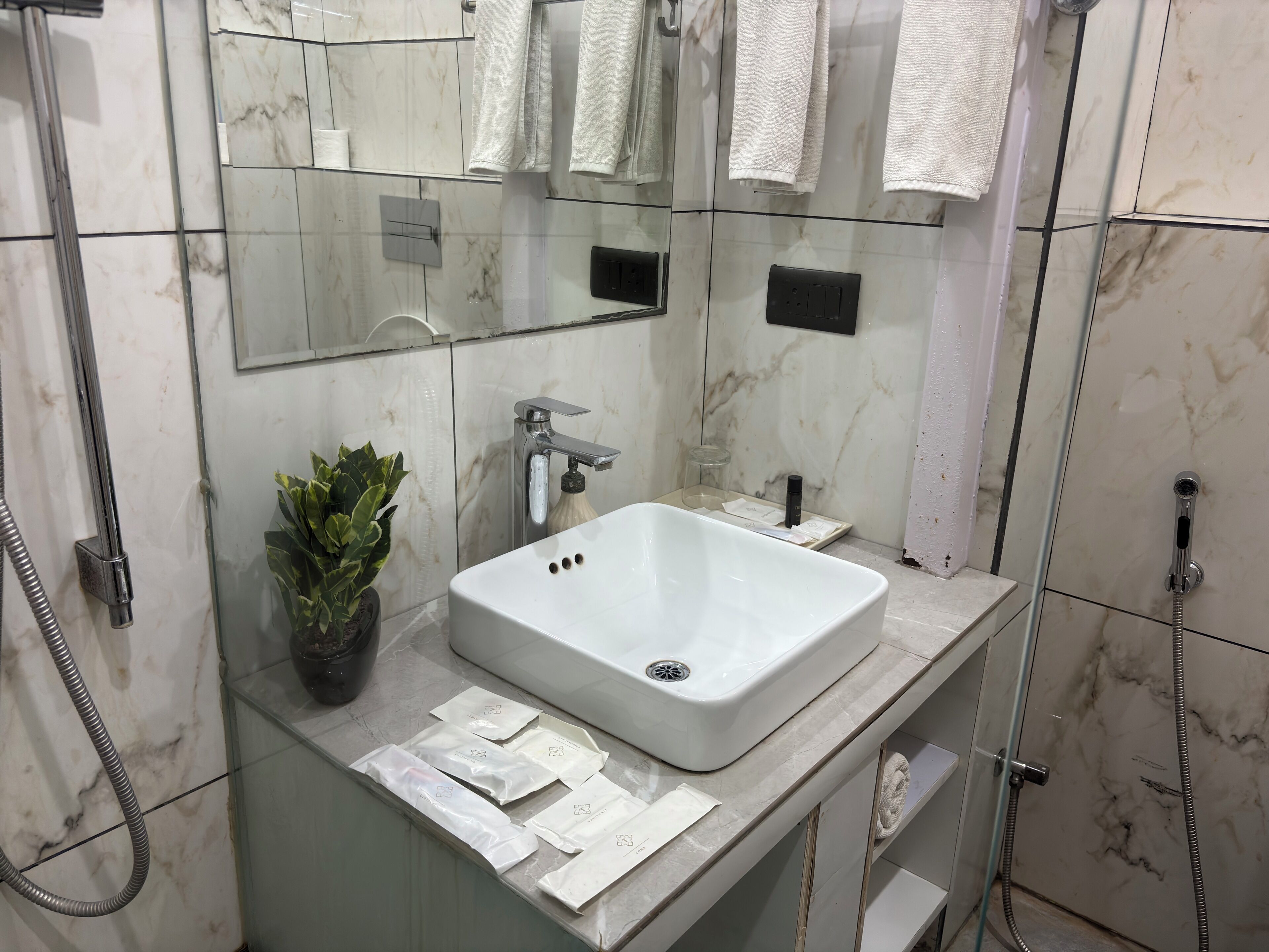 A bathroom with a white sink, a mirror, a shower, and a potted plant.