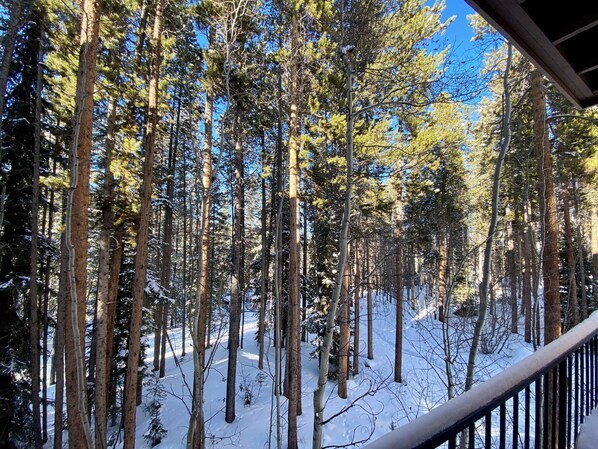 Property grounds - Family friendly 2 bedroom cabin themed interior (Winter Park)