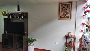 Een woonkamer met een flatscreen televisie, een potplant, een plank met decoratieve objecten en een aan de muur hangend schilderij.