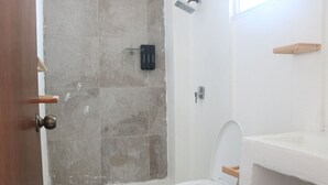 A bathroom with a shower, toilet, and a wooden door.
