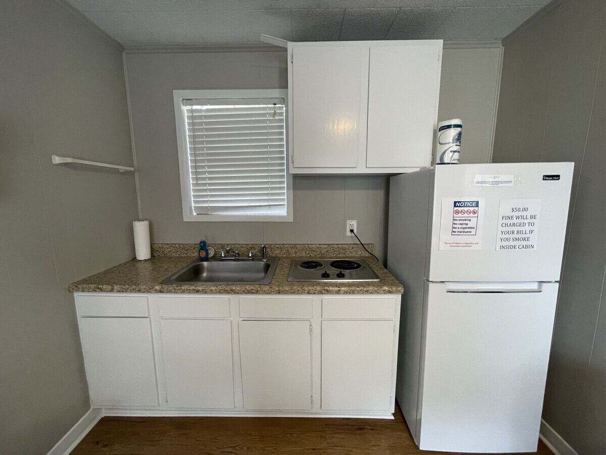 Frigorífico, microondas, placa de cocina y cafetera o tetera