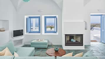 Smart TV, fireplace, books