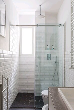 Shower, hair dryer, bidet, towels