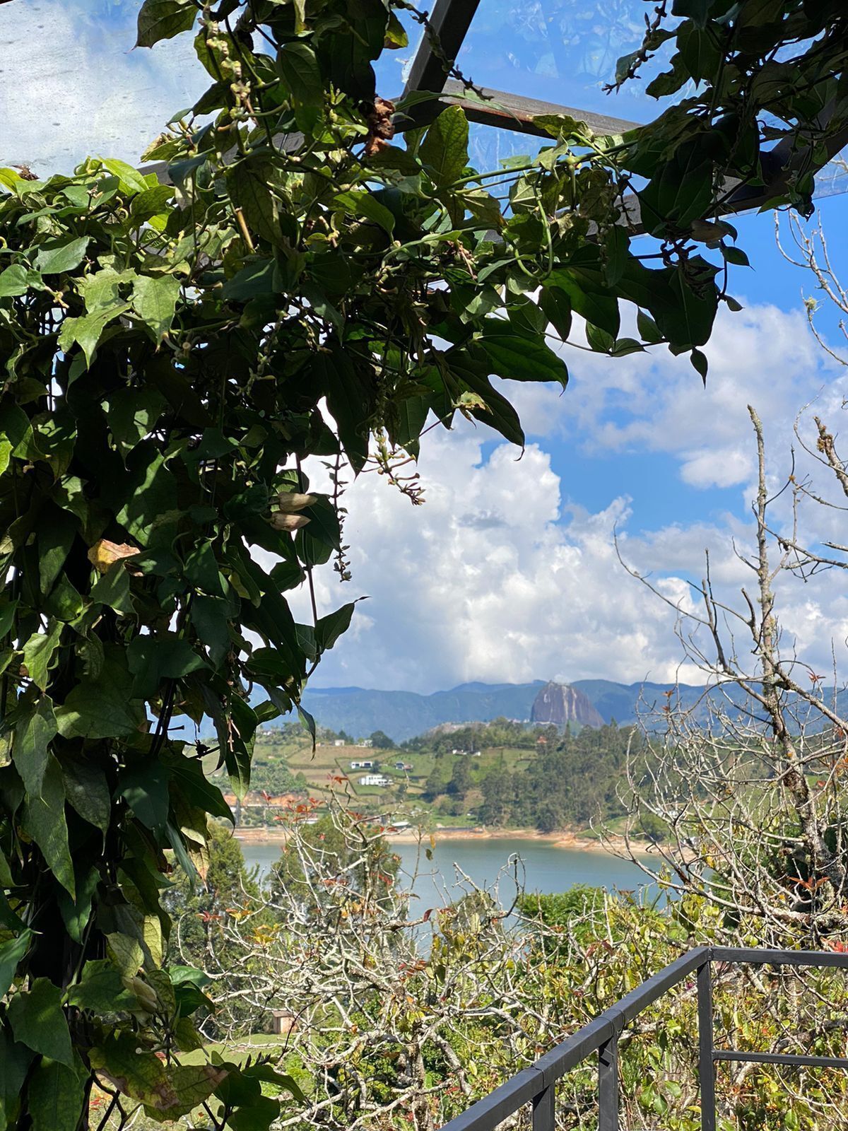 View from property