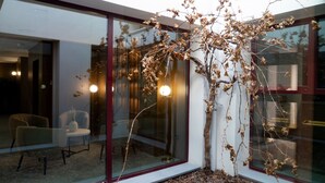 A modern interior with a glass wall, a small tree, and a round table with chairs. - La Hospederia - El Provencio (El Provencio)