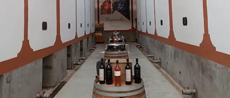 A wine cellar with wooden barrels and bottles, brick walls, and a central aisle.