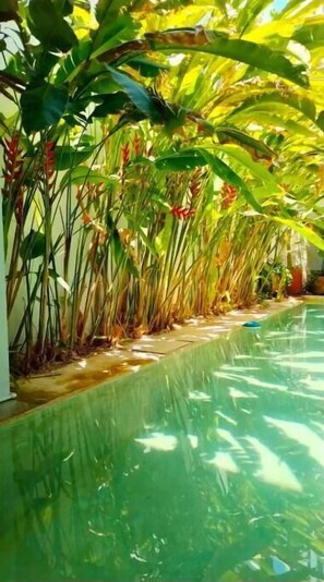 Pool - Relaxing, luxury home in the center of Mérida! (Bluefield)