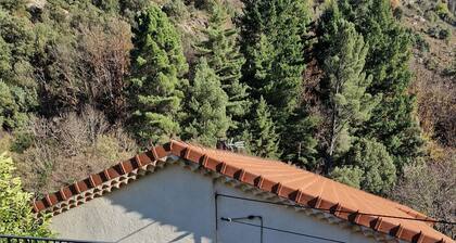 Gite entiĂšrement neuf, en pleine nature, en bordure de la riviĂšre ...