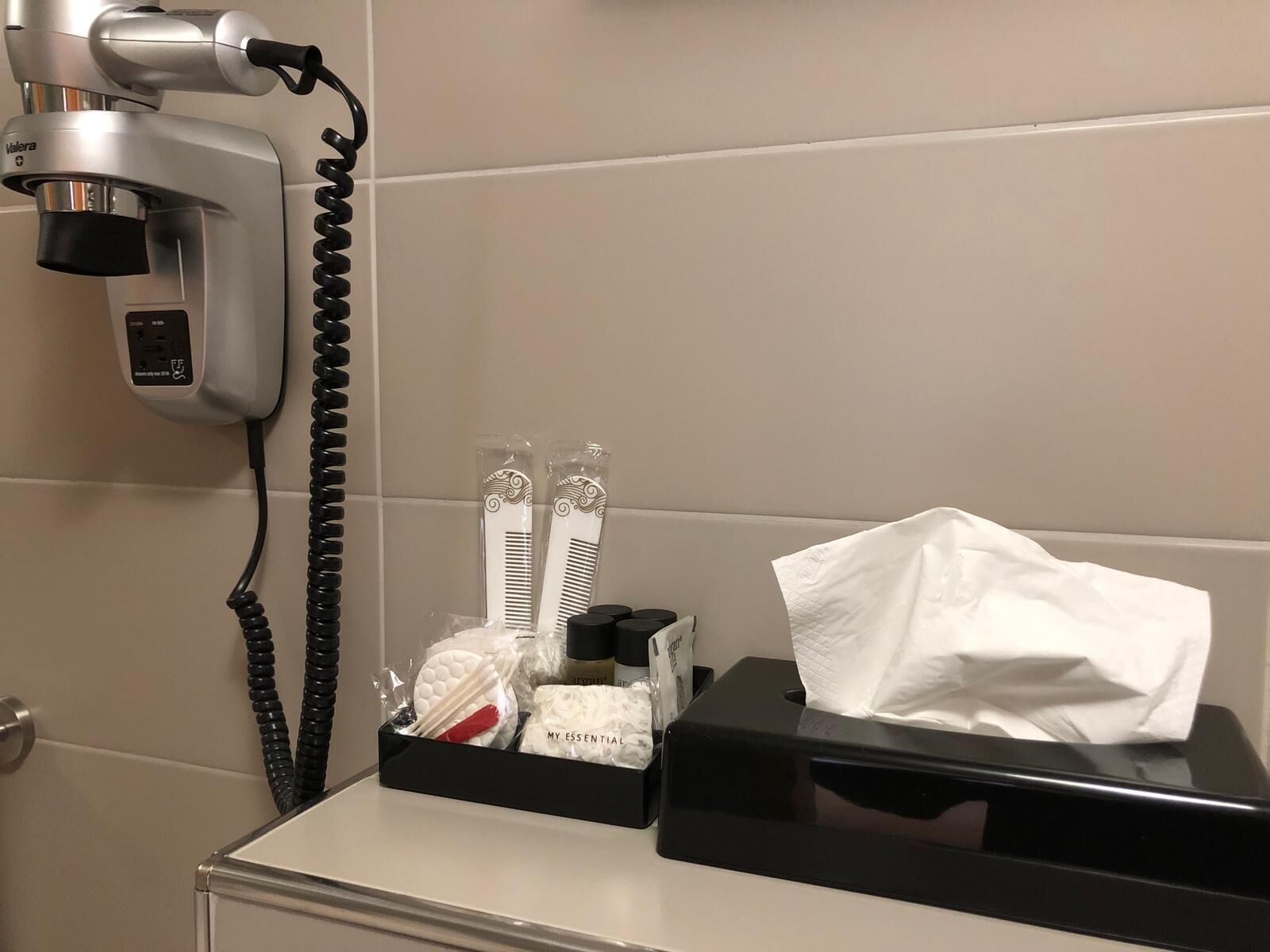 Ein Badezimmer mit Fön, Taschentuchbox und einem Behältniss mit Pflegeprodukten.