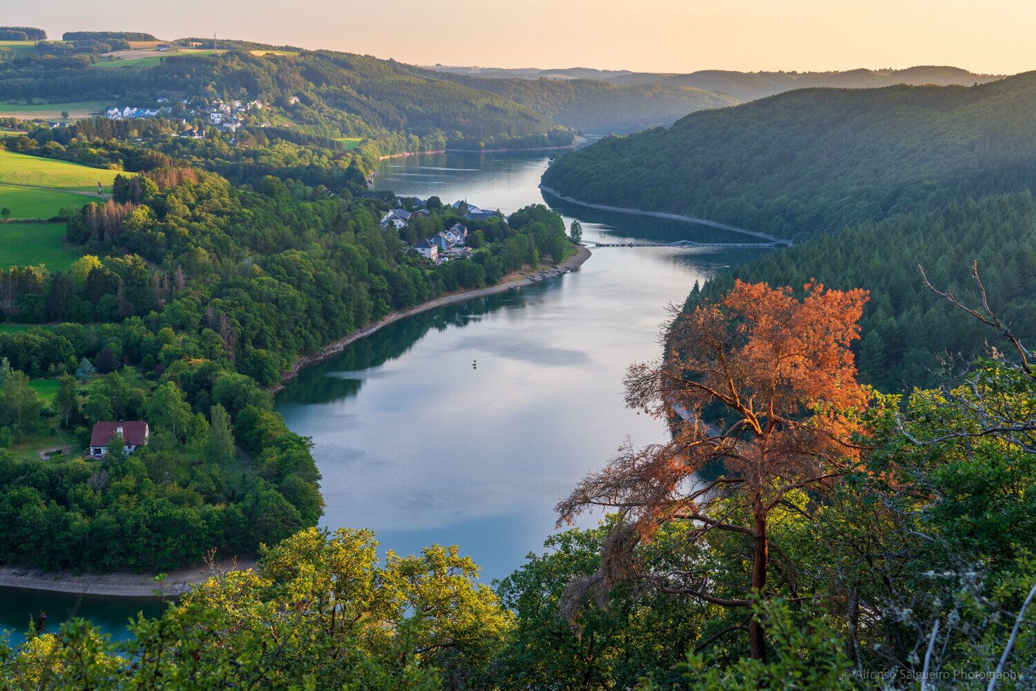 A river winding through a forested valley with houses along the riverbank.