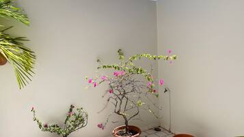 Superior Studio | Free WiFi