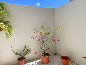 Studio – superior | Wi-fi (inkludert)