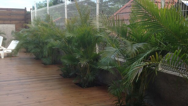 Een houten terras met een rij potplanten en een witte stoel.