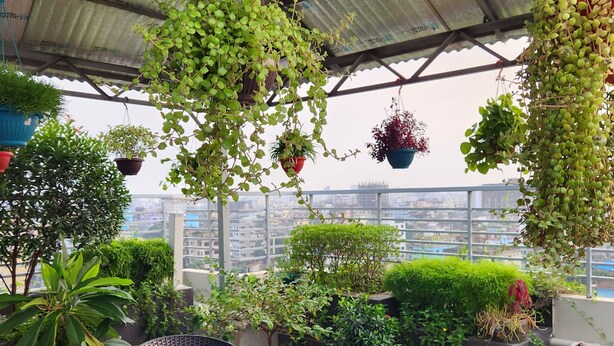 A rooftop terrace with wicker chairs, a glass table, and various potted plants.