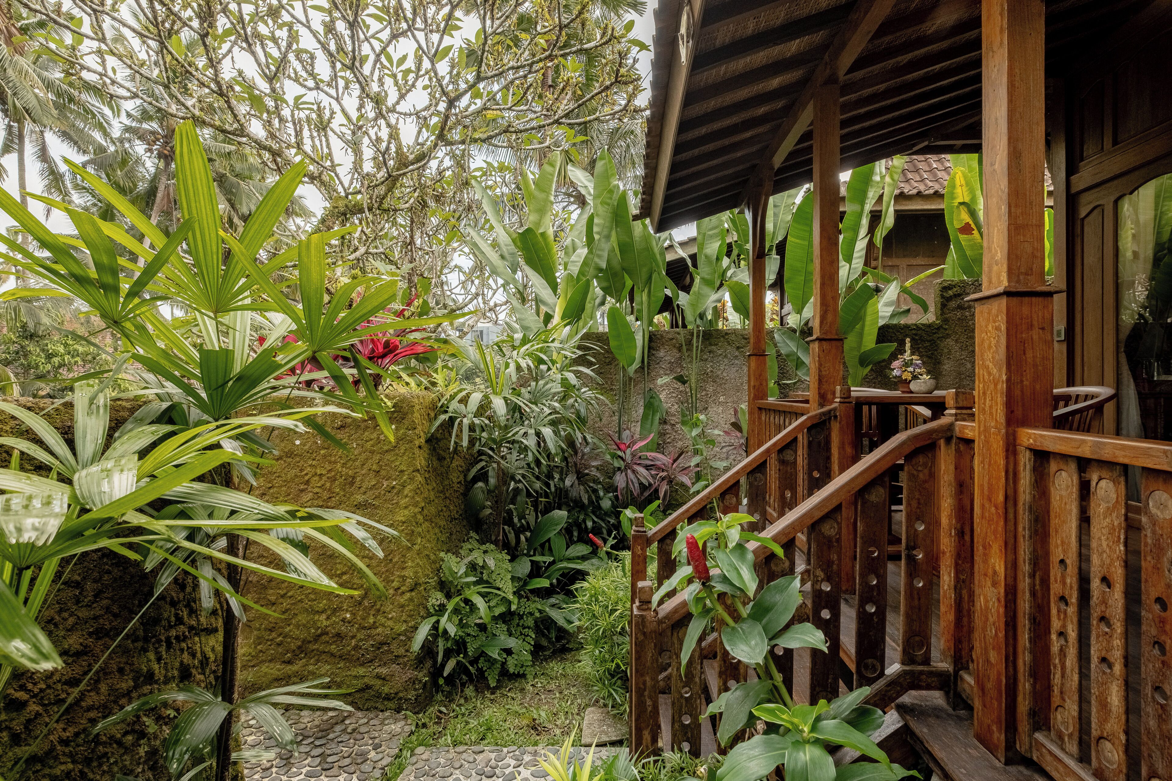 Jardín